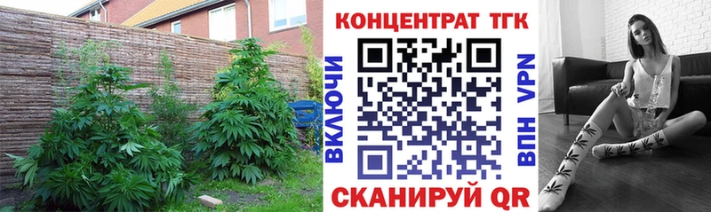 ТГК THC oil  цены наркотик  Надым 